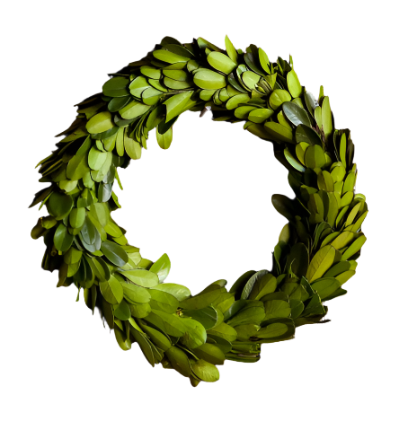 Mini Preserved Boxwood Wreath