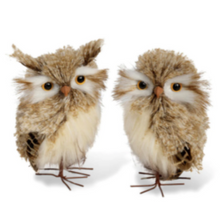 Load image into Gallery viewer, Feathered Horned Owl
