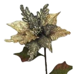 Poinsettia Stems