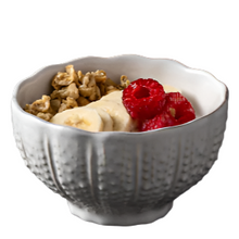 Load image into Gallery viewer, Costa Nova Aparte Collection Shell Soup Bowl
