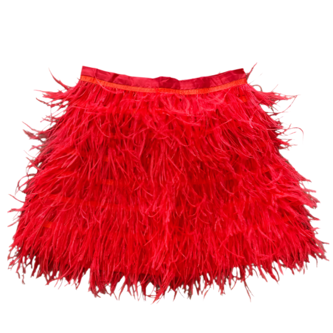 Queen Of Sparkles Red Feather Skirt