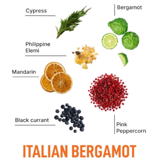 Laundry Sauce In-Wash Scent Booster Italian Bergamot