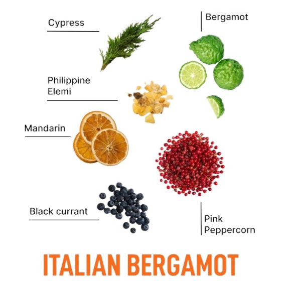 Laundry Sauce Dryer Sheets Italian Bergamot