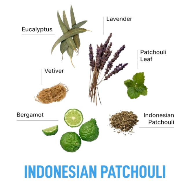 Laundry Sauce Laundry Detergent Pods Indonesian Patchouli
