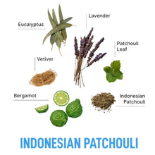 Load image into Gallery viewer, Laundry Sauce Laundry Detergent Pods Indonesian Patchouli
