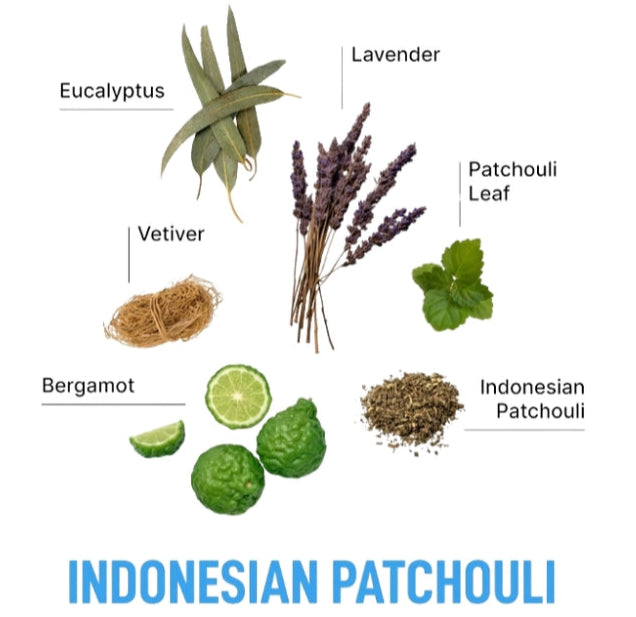 Laundry Sauce Fabric Refresher Indonesian Patchouli