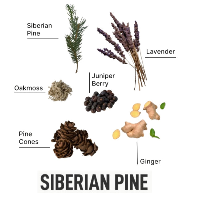 Laundry Sauce Laundry Detergent Pods Siberian Pine