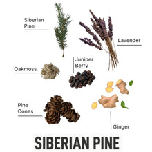 Load image into Gallery viewer, Laundry Sauce In-Wash Scent Booster Siberian Pine
