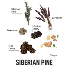 Load image into Gallery viewer, Laundry Sauce Dryer Sheets Siberian Pine
