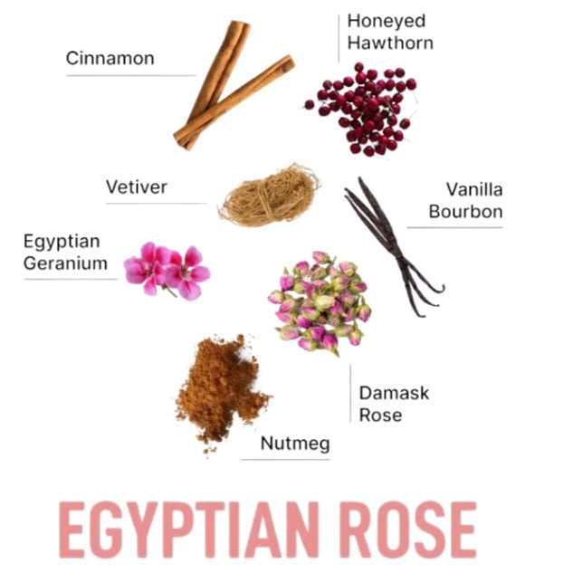 Laundry Sauce Laundry Detergent Pods Egyptian Rose