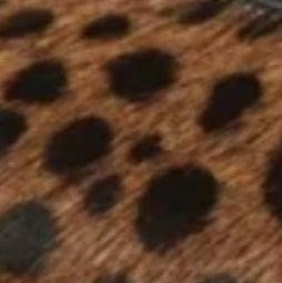 The Mabrey Calf Hair Mule