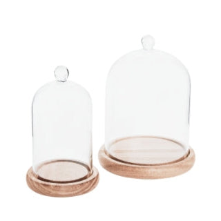 Cloche with Ball Handle and Wooden Base