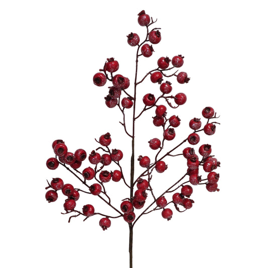 Red Berry Spray