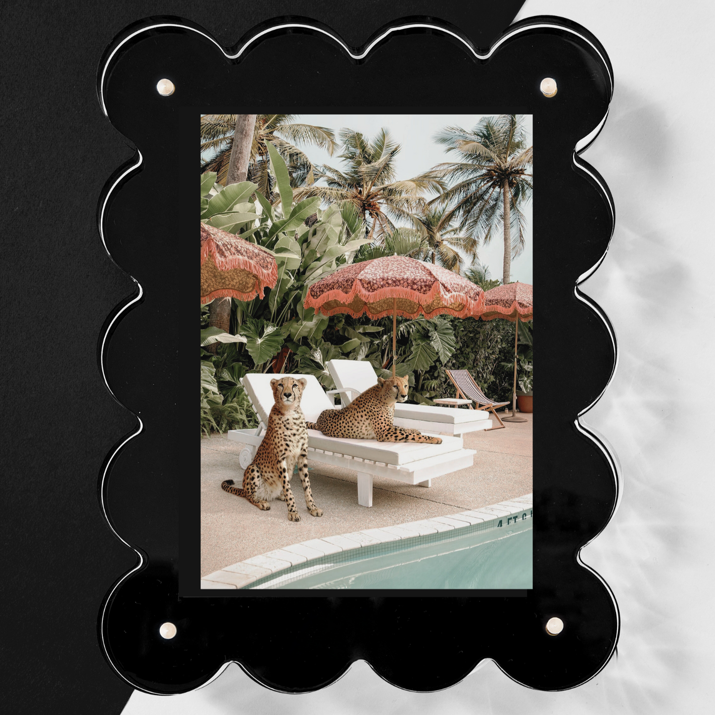 Tart By Taylor Black Acrylic 8x6 Frame