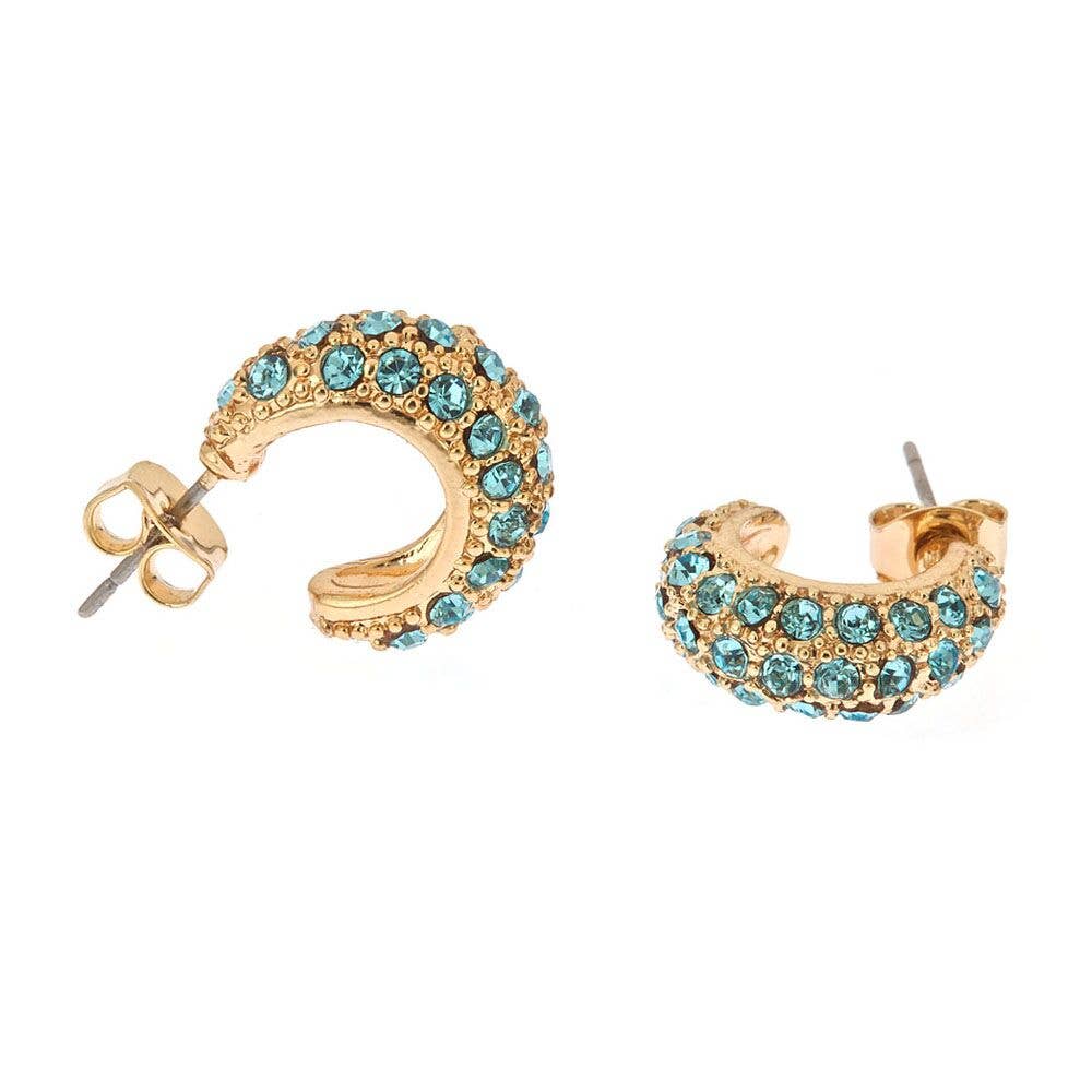 Rhinestone Huggie Earrings