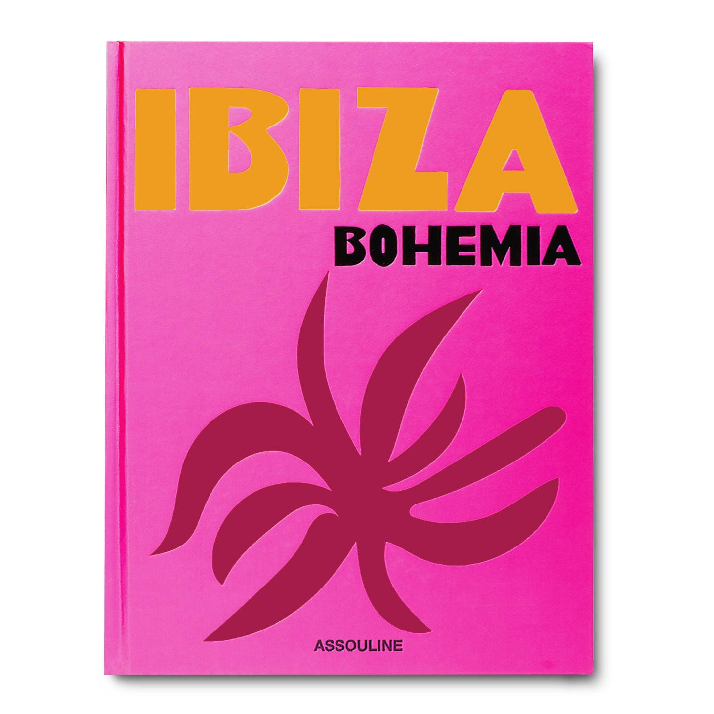 Assouline Travel Books