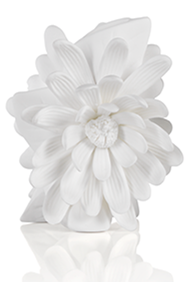 Cameo Porcelain Vases