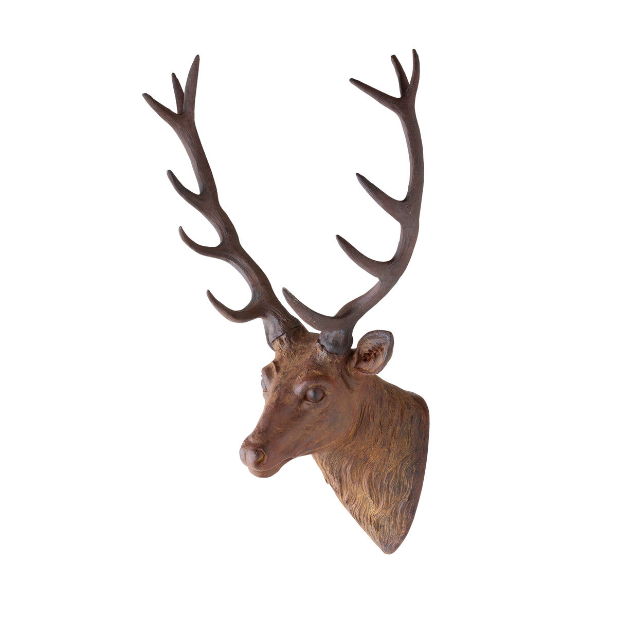 Mounted Red Deer Head