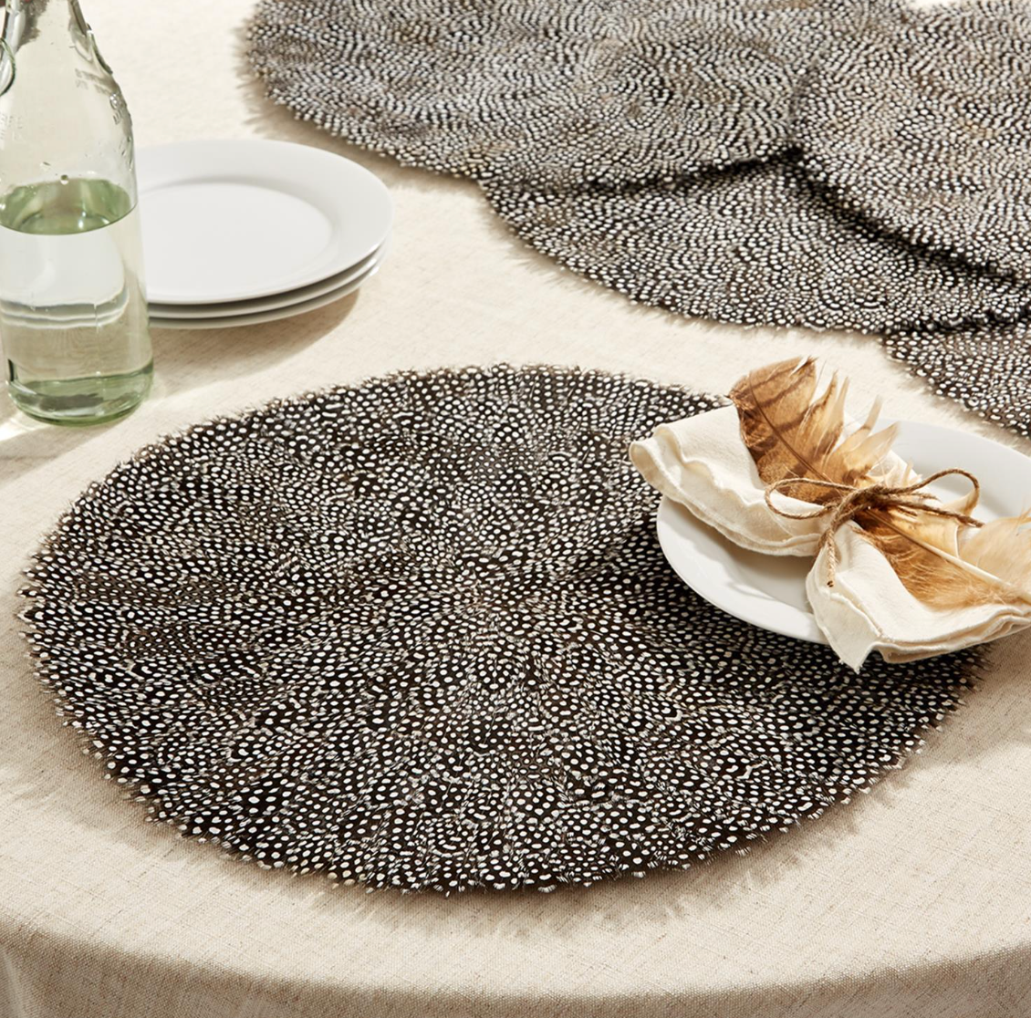 Guinea Feather Placemats