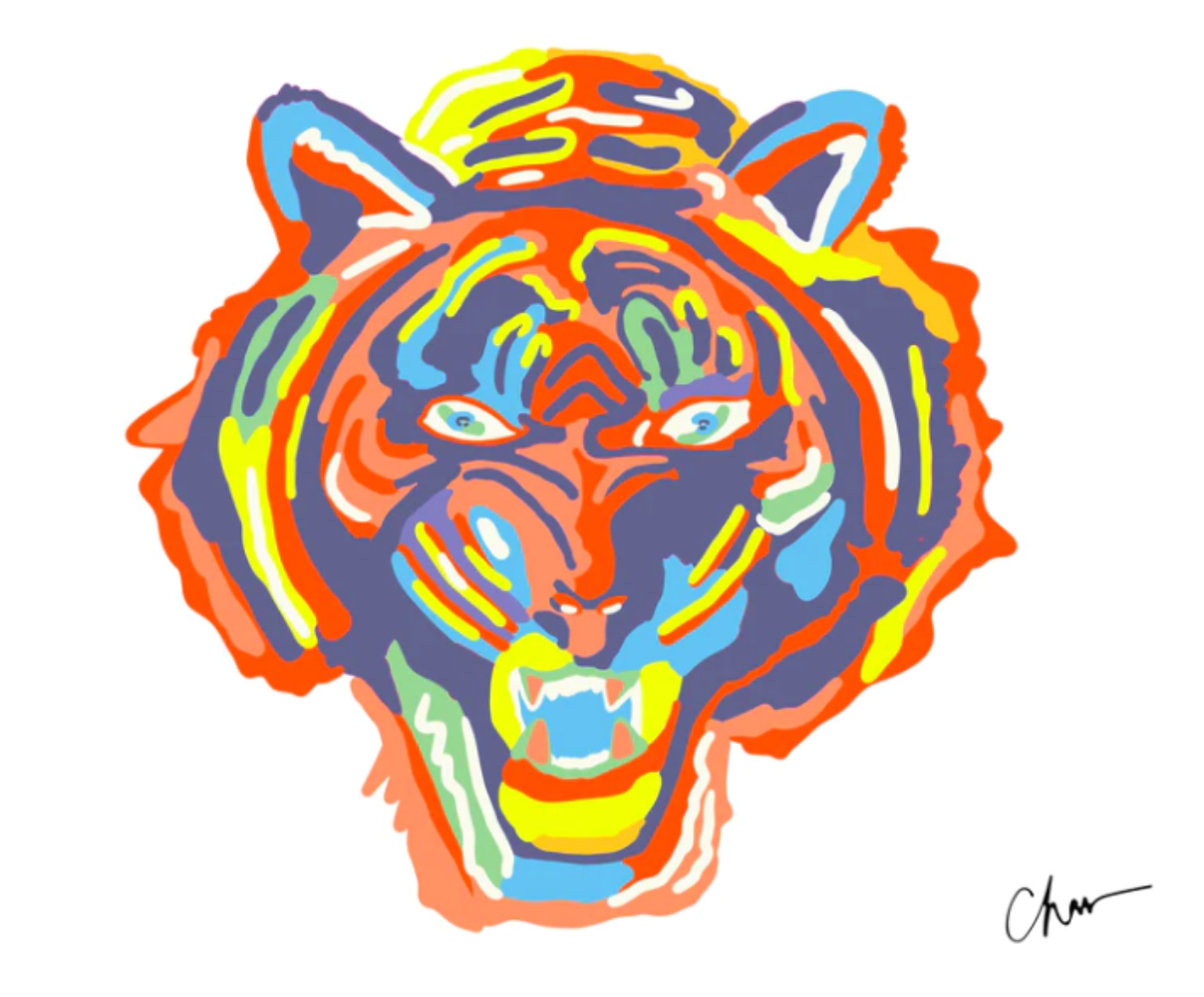 8" x 10" Tiger Print