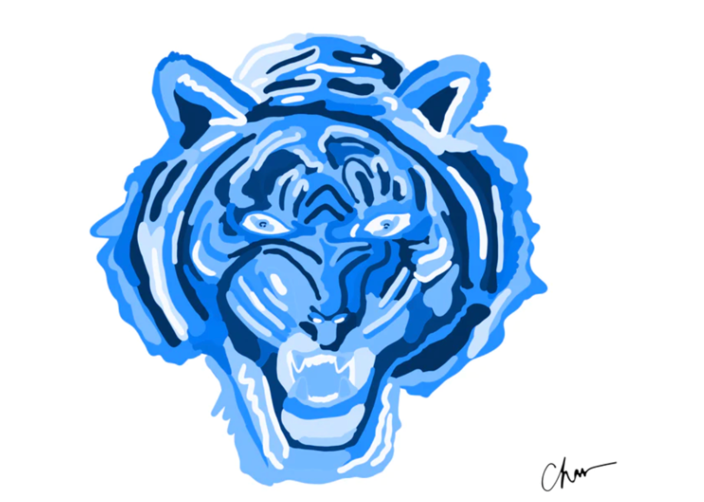 8" x 10" Tiger Print