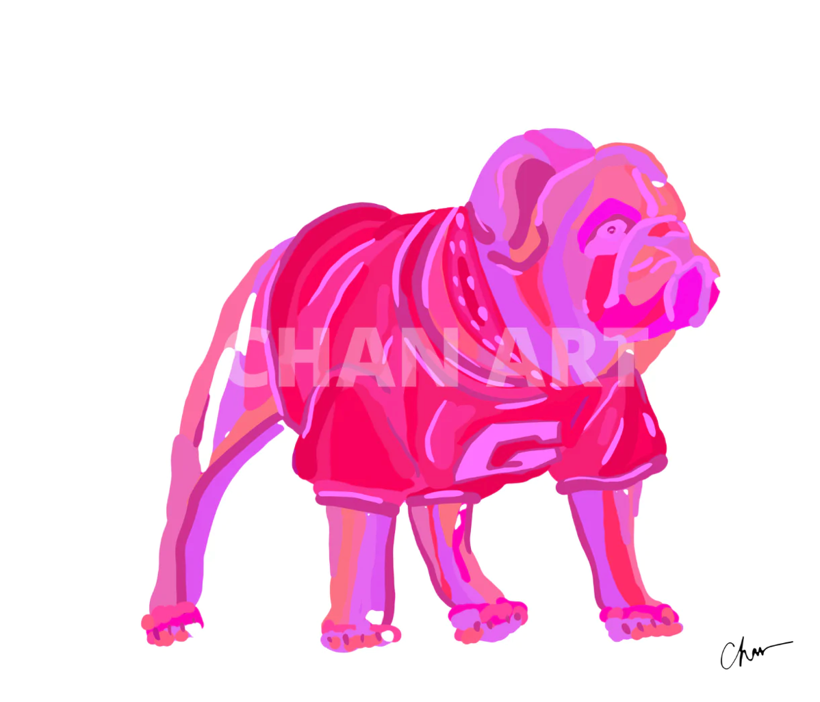 8x10 Bulldawg Print