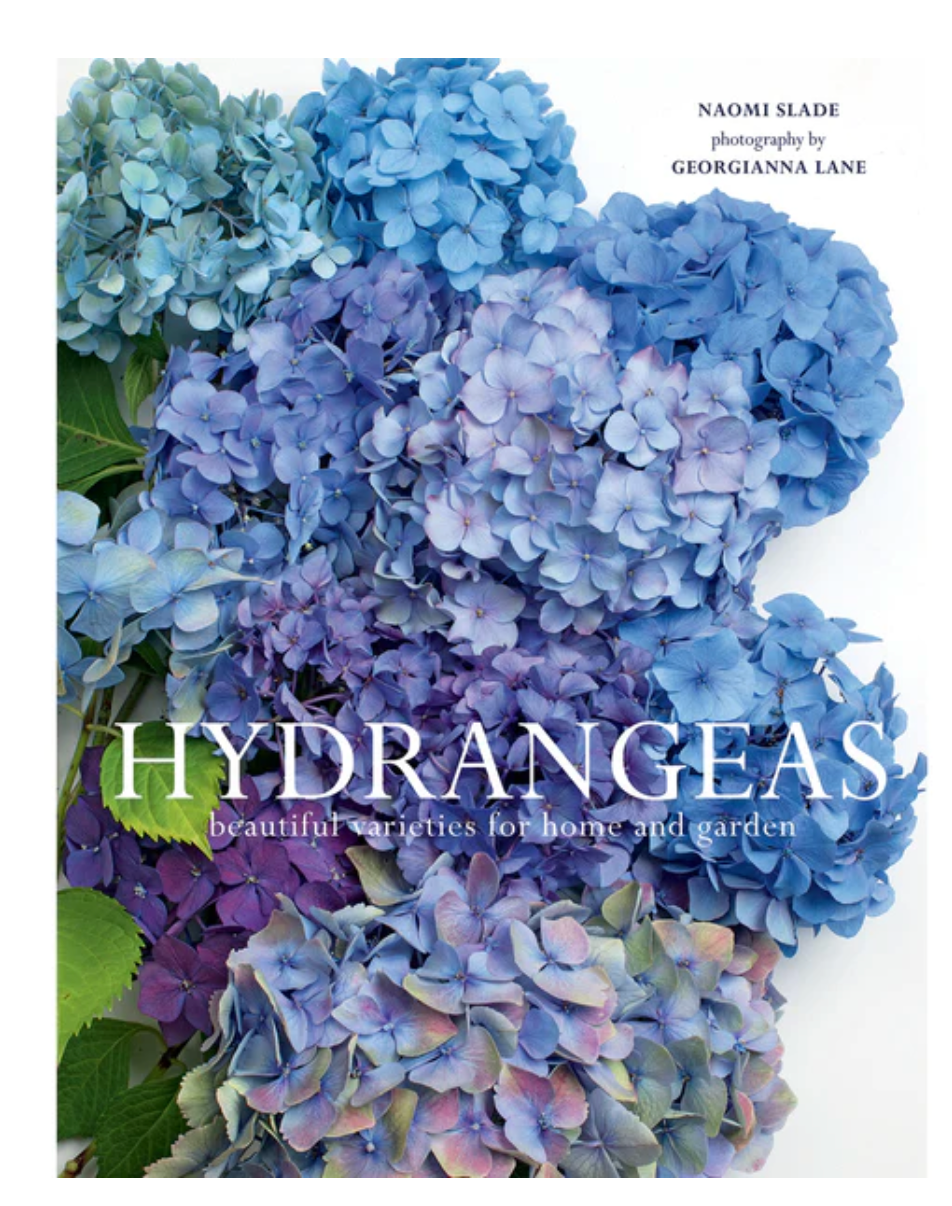 Hydrangeas