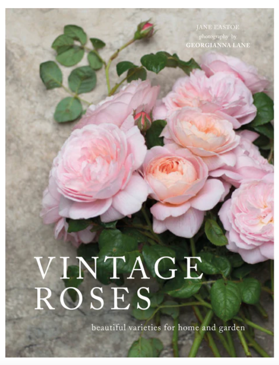 Vintage Roses