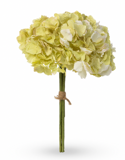 Hydrangea Bundle