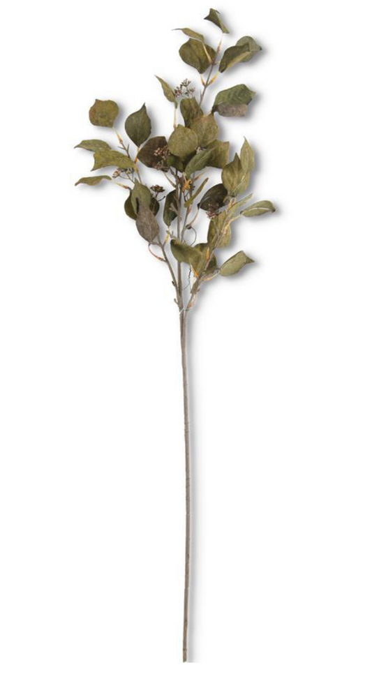 38" Cork Textured Silver Dollar Eucalyptus Stem