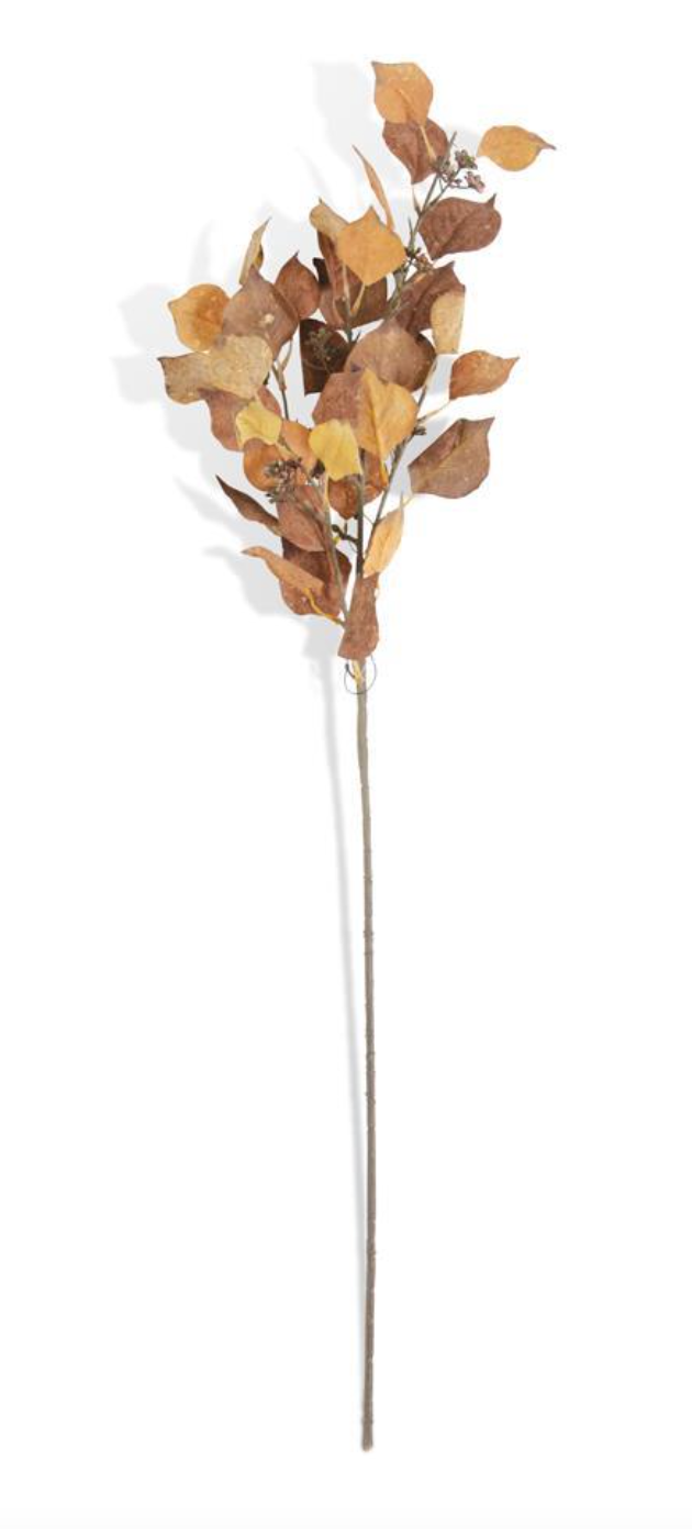 38" Cork Textured Silver Dollar Eucalyptus Stem