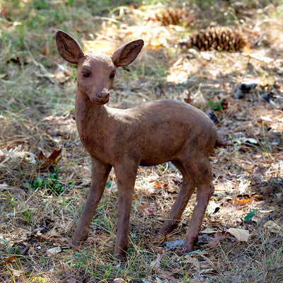 Standing Fawn