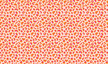 Load image into Gallery viewer, Leopard Print Wrapping Paper
