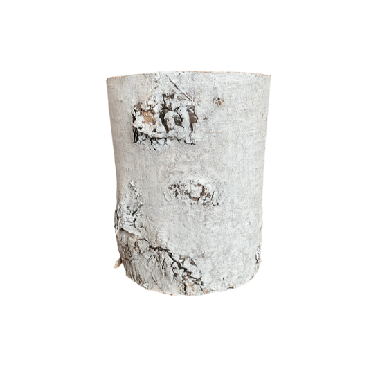 Birch Cylinder