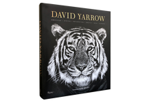 Load image into Gallery viewer, David Yarrow Photography
