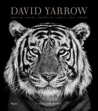 Load image into Gallery viewer, David Yarrow Photography
