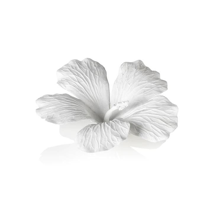 Bone China Hibiscus Wall or Table Decor