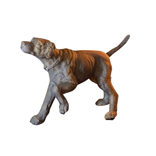 Hunting Hound