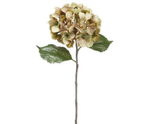 Load image into Gallery viewer, Green Hydrangea Stem 26.5"
