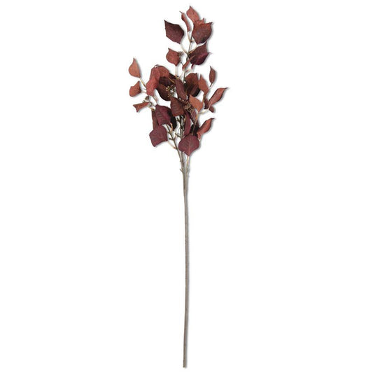 38” Burgundy & Rust Cork Textured Silver Dollar Eucalyptus