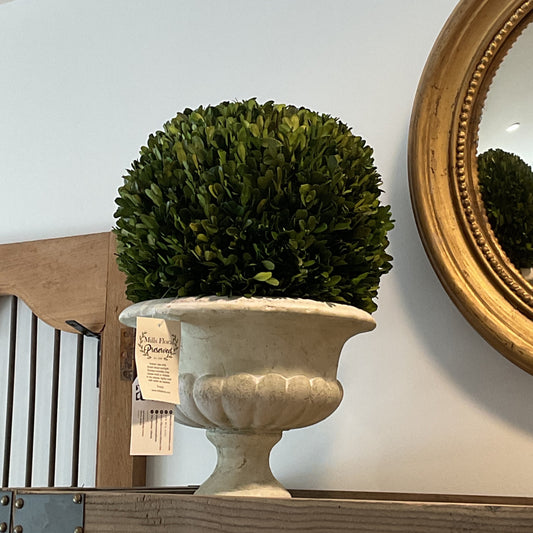 Boxwood Ball in Footed Urn