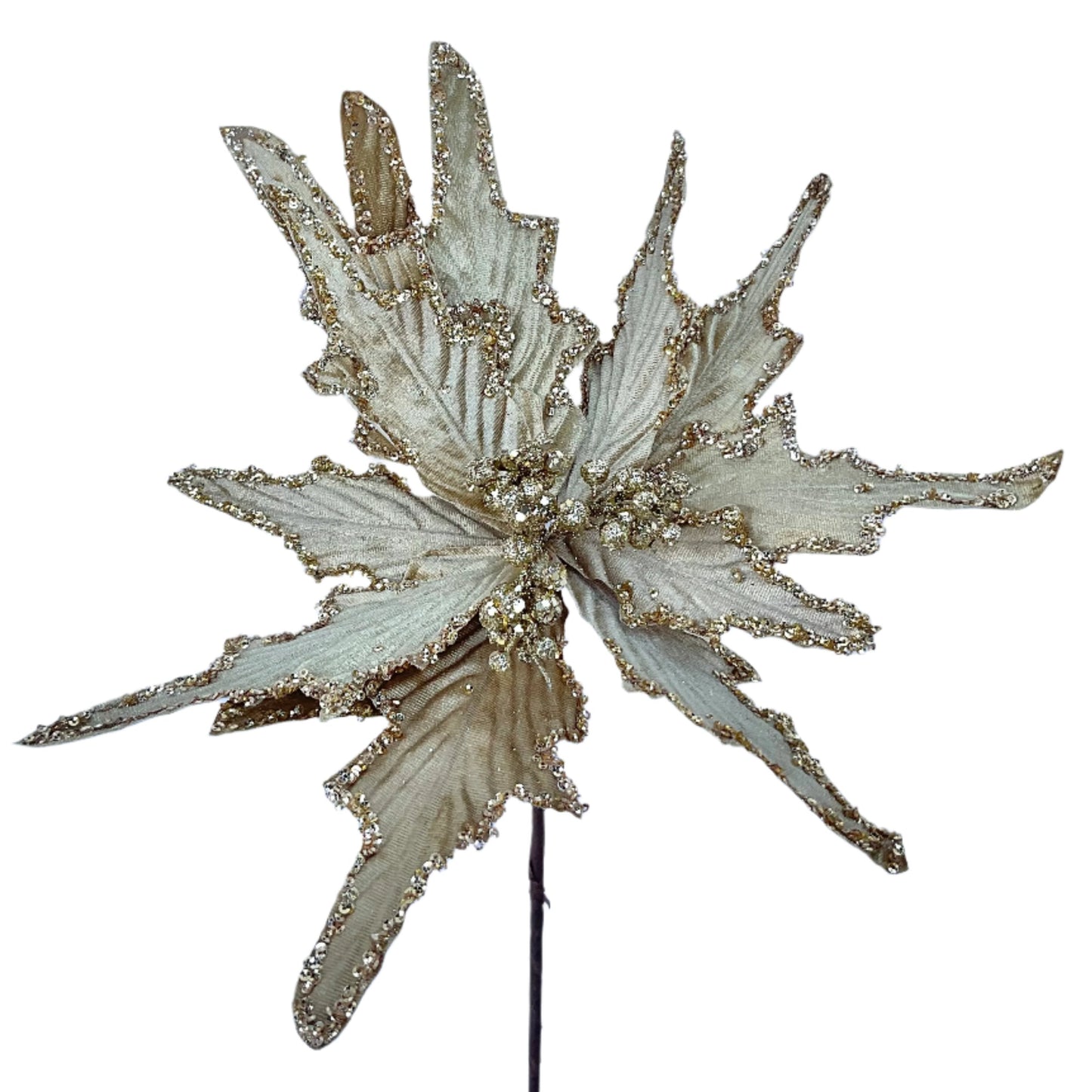 Poinsettia Stems