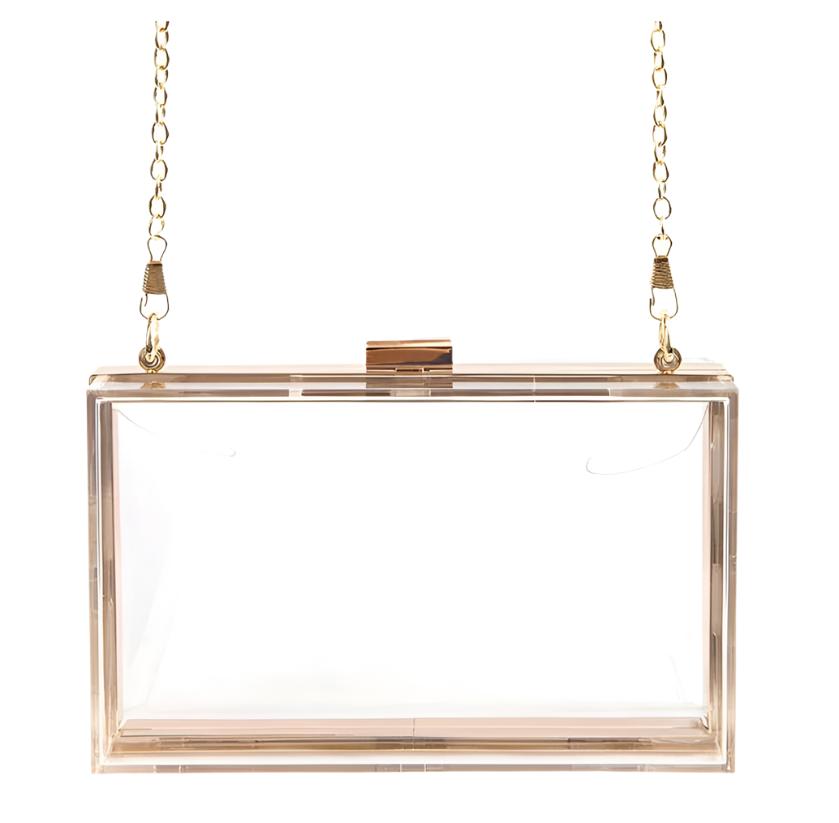 Acrylic Clear Box Clutch