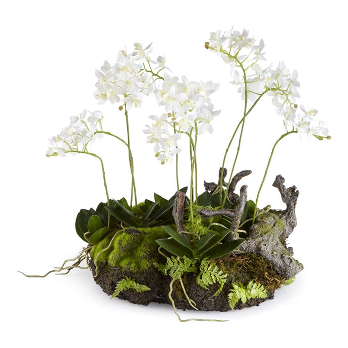 Orchid and Fern Drop-In
