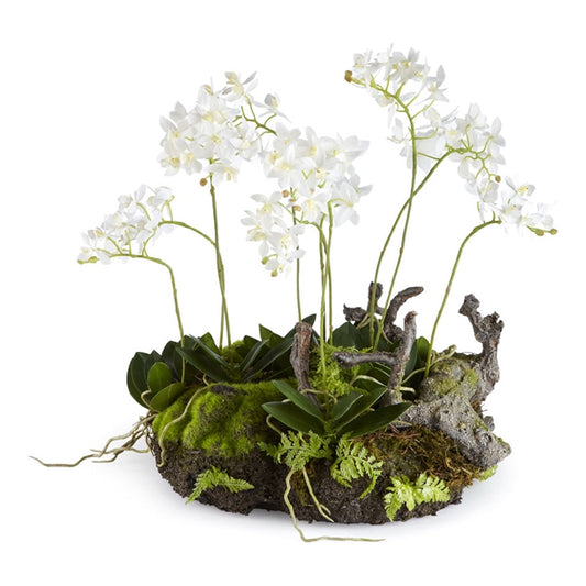 Orchid and Fern Drop-In