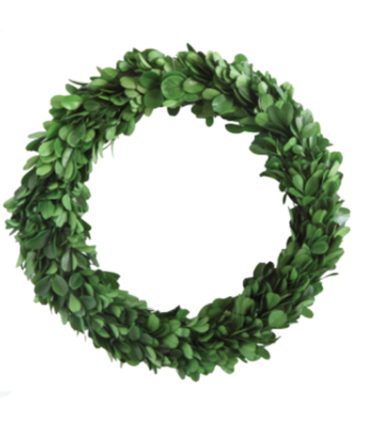 10" Round Preserved Boxwood